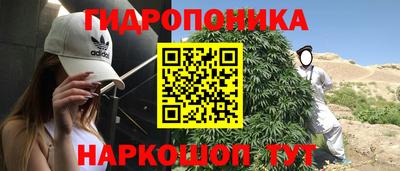 стафф Ликино-Дулёво