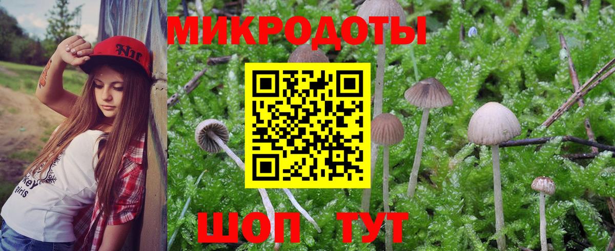 Галлюциногенные грибы Psilocybine cubensis  цена   Псилоцибиновые грибы мухоморы  Дивногорск  Вход с VPN 